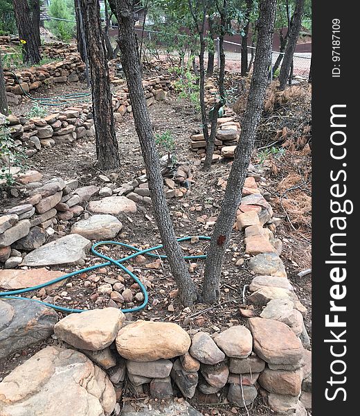 My rock walls have the convergence while the V-shaped juniper has divergence covered. My rock walls have the convergence while the V-shaped juniper has divergence covered