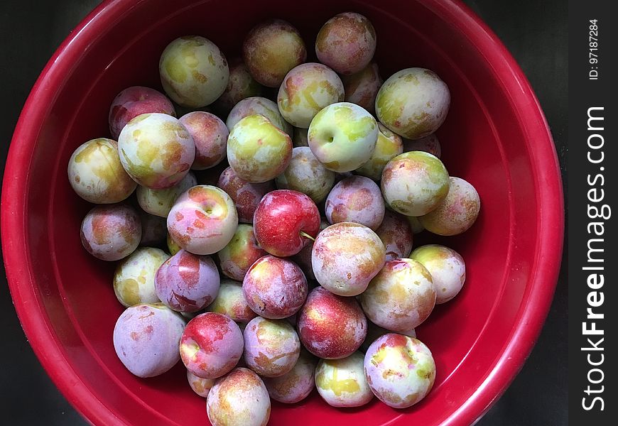 I picked most of the plums today before the birds do them in. I&#x27;ve to enough for a batch of jam. I picked most of the plums today before the birds do them in. I&#x27;ve to enough for a batch of jam.