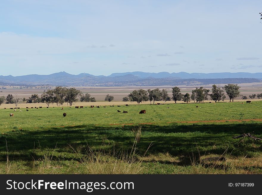 north side of the range, viewed from Share Farm Road, Warrah Ridge, New South Wales. north side of the range, viewed from Share Farm Road, Warrah Ridge, New South Wales