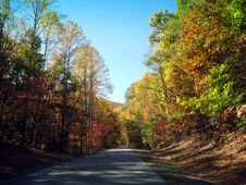 Driving Through Foliage Stock Images