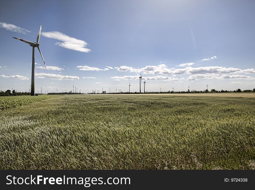 Wind energy mills with blue sky and grain