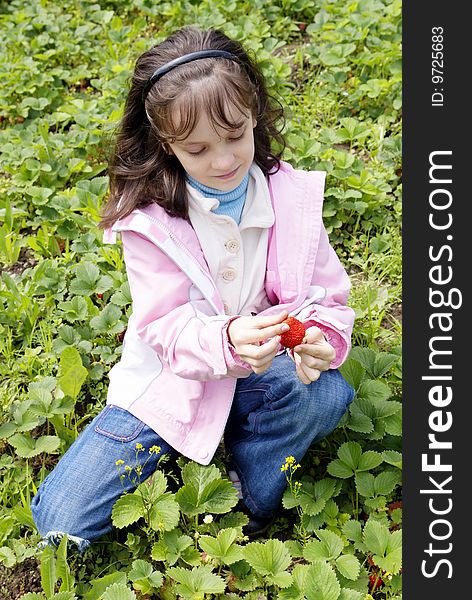 Beautiful girl collects ripe strawberries. Beautiful girl collects ripe strawberries