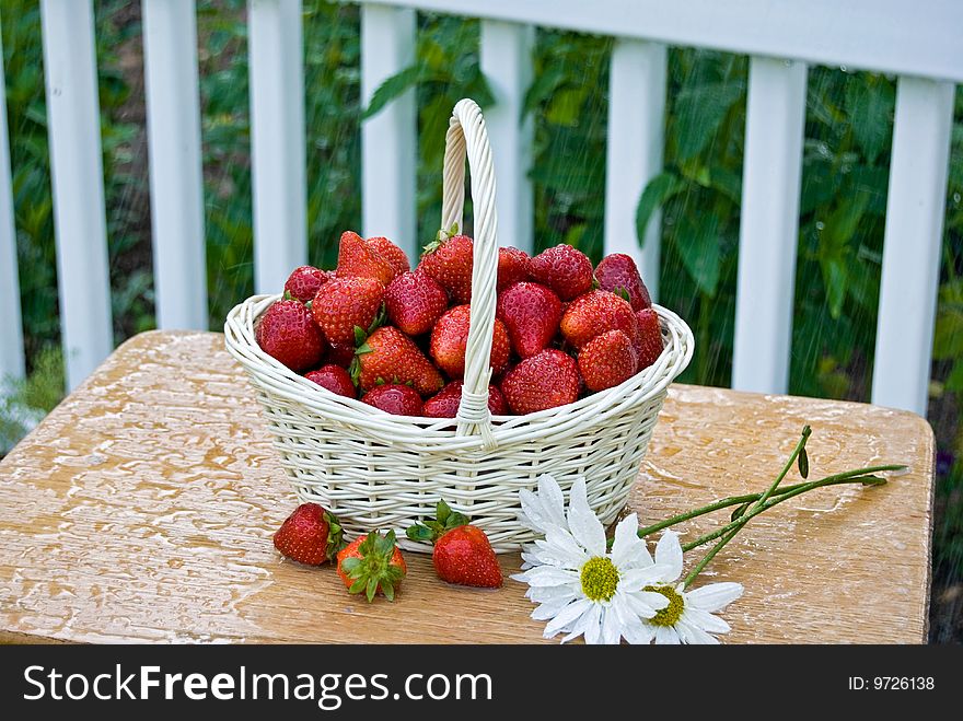 Strawberries in basket with daisies in the rain. Strawberries in basket with daisies in the rain.