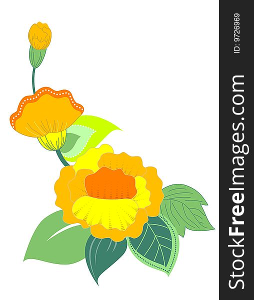 Yellow flower and green leave on the white background