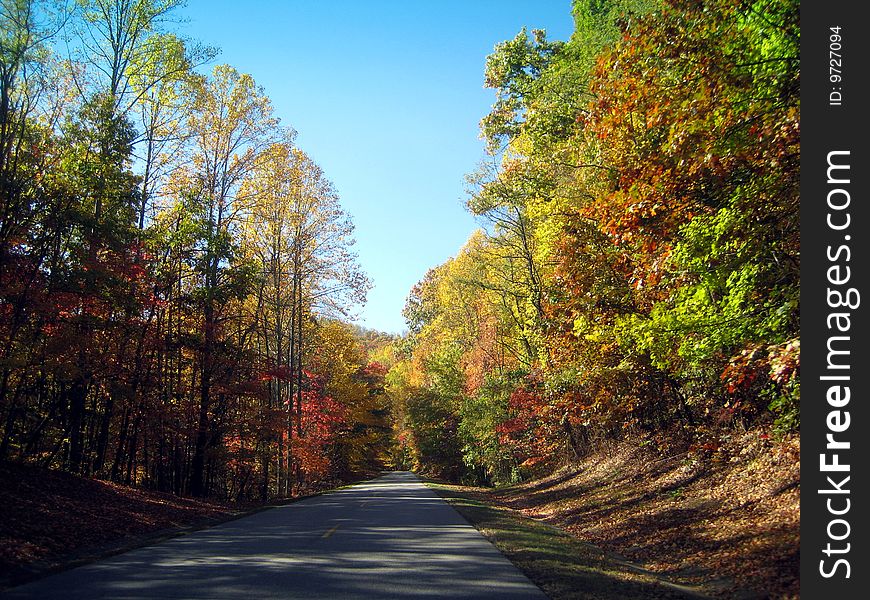 Road through the foliage in Asheville, NC. Road through the foliage in Asheville, NC