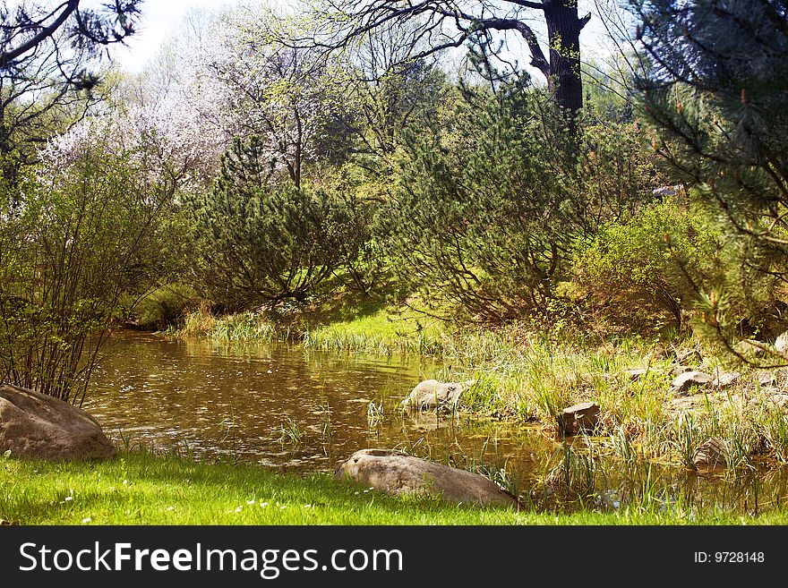 Small pond in the garden