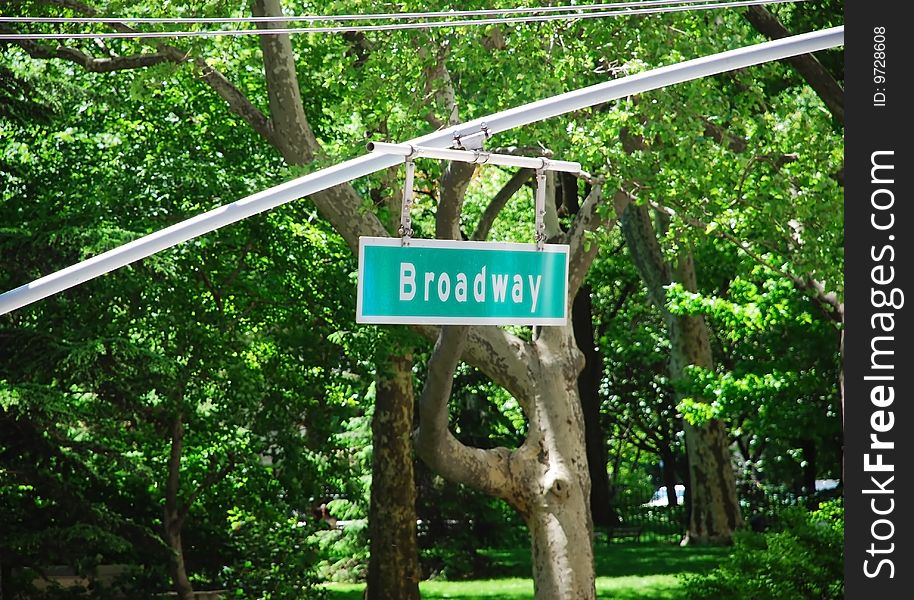 Broadway traffic sign in New York over green leaves. Broadway traffic sign in New York over green leaves