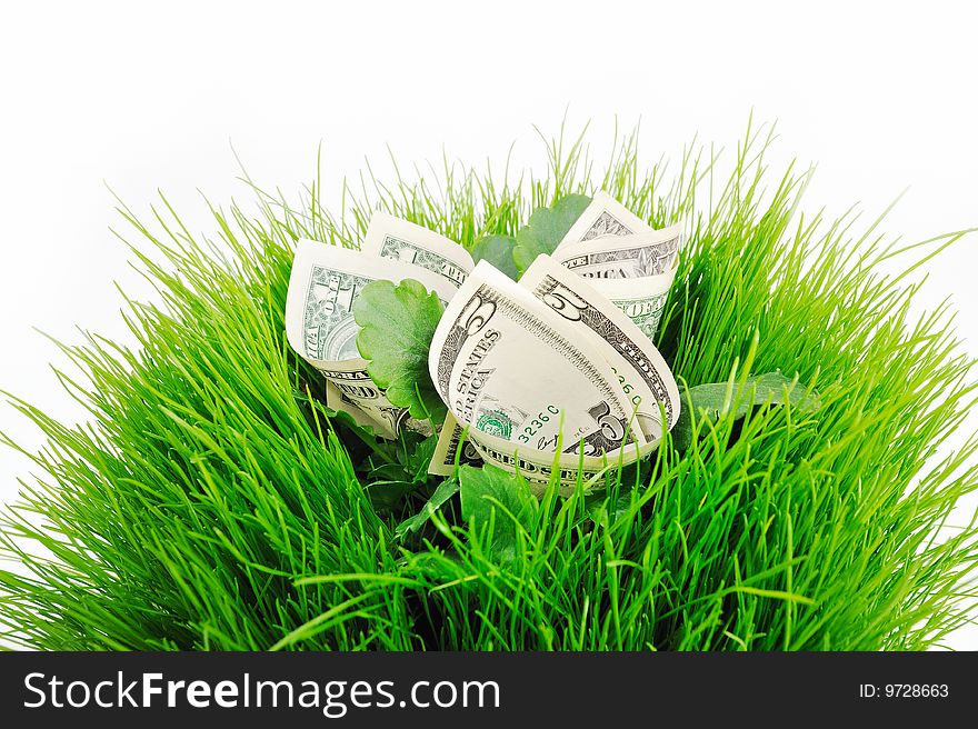 Several banknote folded inside the green grass and leaves. Several banknote folded inside the green grass and leaves