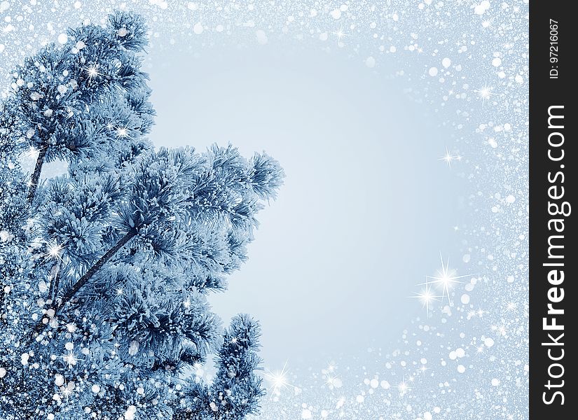 Winter, Frost, Sky, Branch
