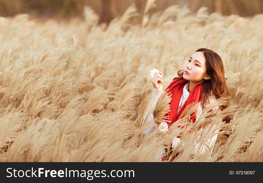 Grass Family, Girl, Wheat, Long Hair