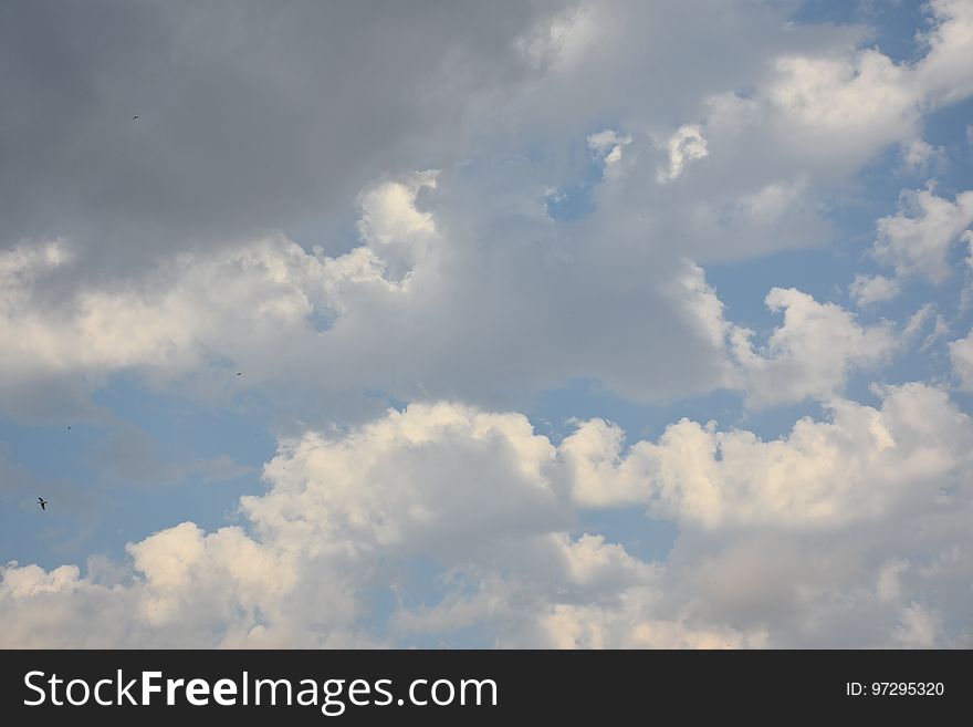 White Cloud In Dark Blue Sky