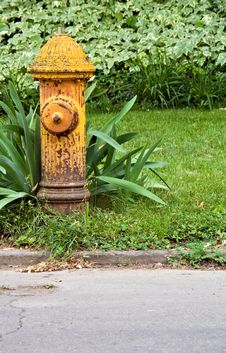 Fire Hydrant Stock Images