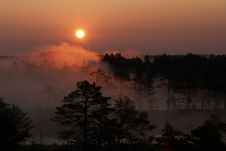 Misty Sunrise In Viru Bog Royalty Free Stock Photos