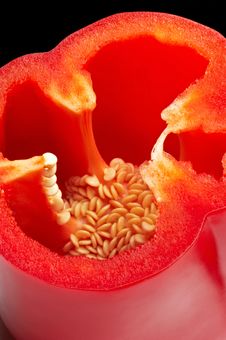 Red Pepper Royalty Free Stock Photos Red Pepper Royalty Free Stock Photos