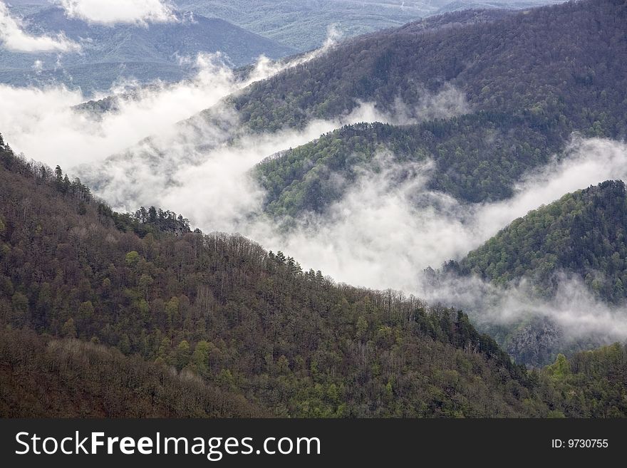 Mountains covered with forests, fog in the valley
