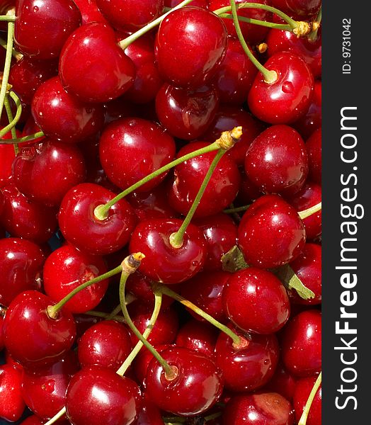 Red-ripe cherry