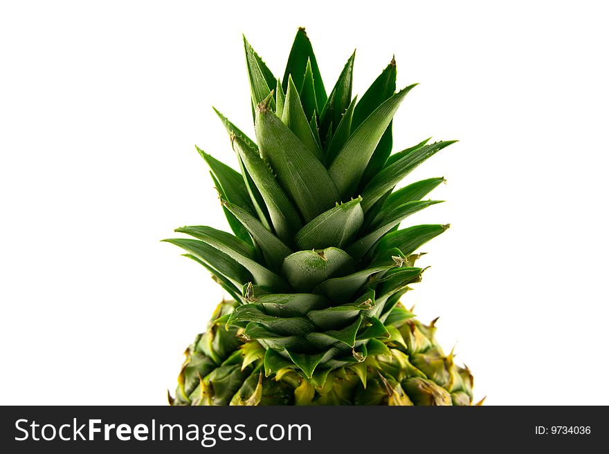 Pineapple Top