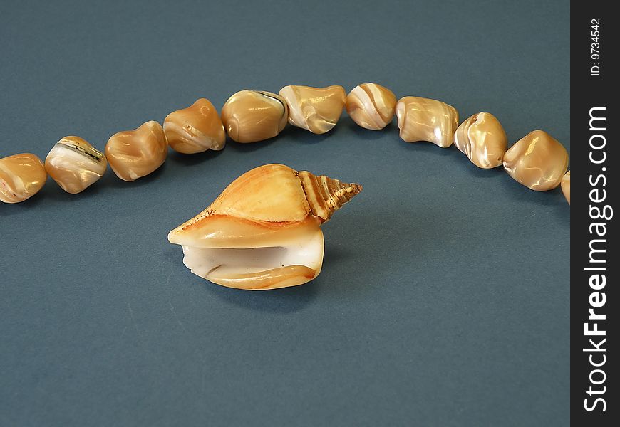 Shell and necklace on blue background