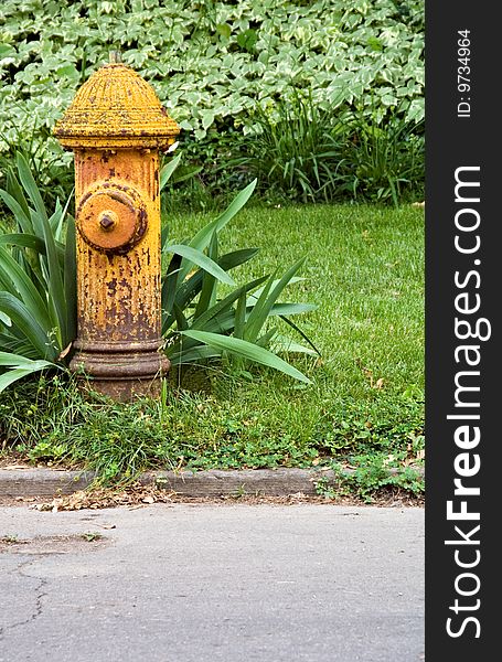 A yellow aged fire hydrant which needs painted and upkeep.