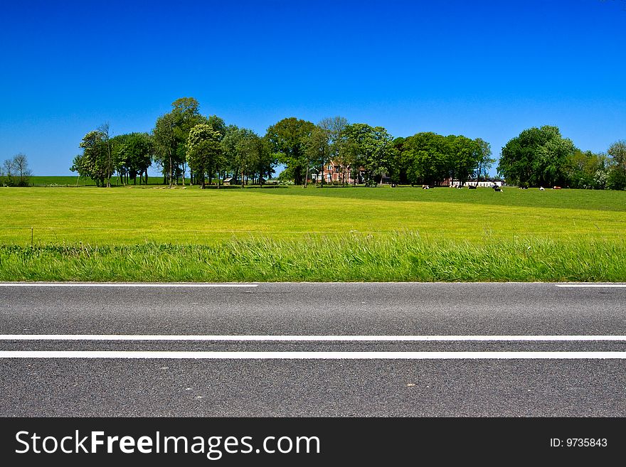 Countryside with farmer cows and meadows. Countryside with farmer cows and meadows