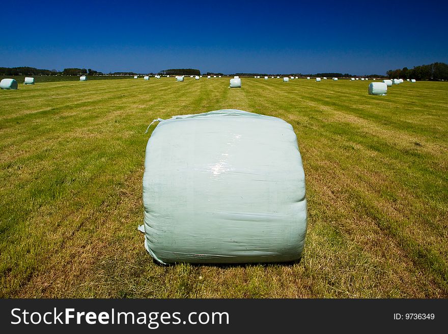 Countryside meadow with hay bale on sunny day