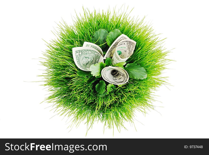 Banknotes in the bright green grass in ball form. Banknotes in the bright green grass in ball form