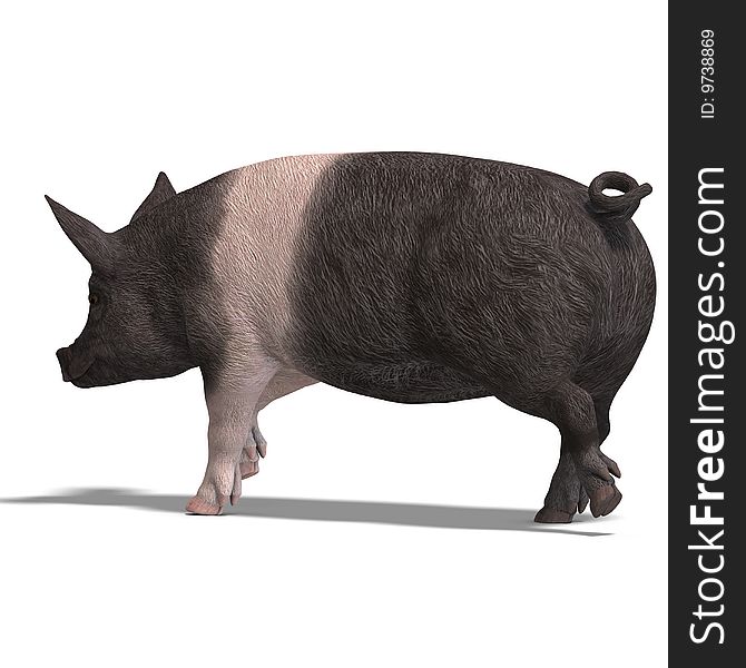 Rendering of a pig with shadow and clipping path over white. Rendering of a pig with shadow and clipping path over white