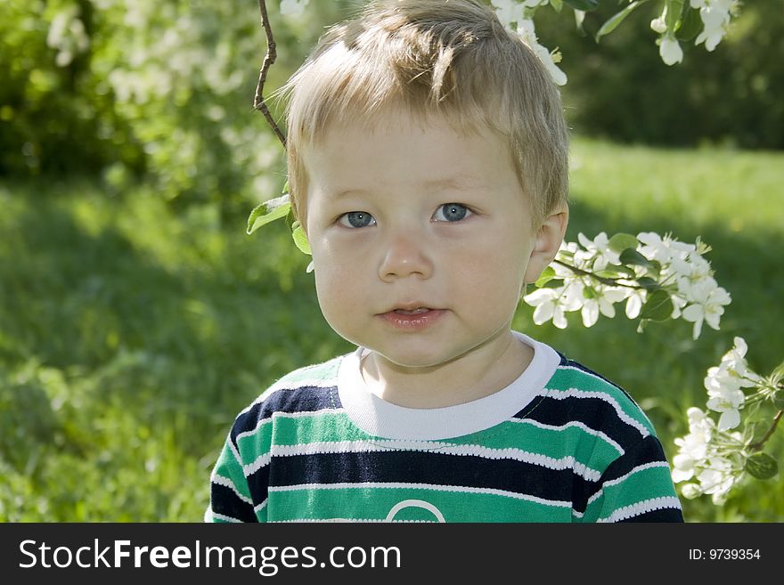 Small boy plays in the playground