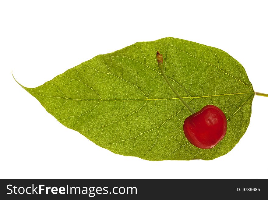 Fresh sweet cherry lies on green sheet