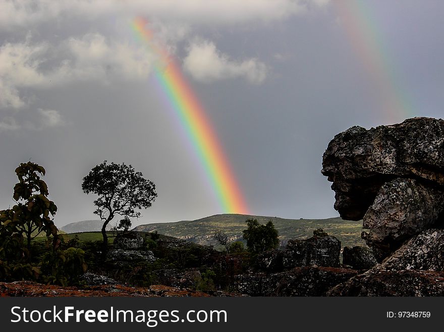 Rainbow, Sky, Meteorological Phenomenon, Tree