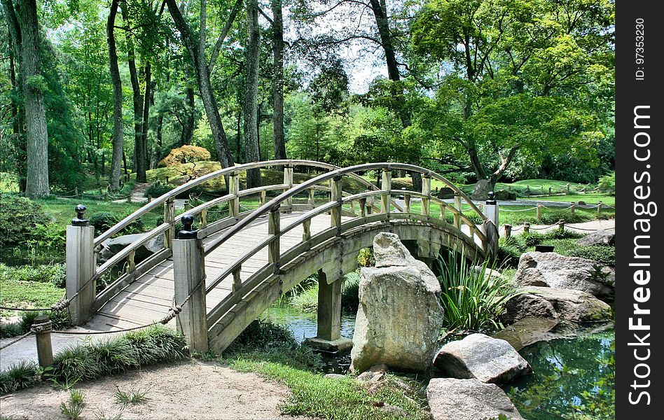 Nature, Nature Reserve, Vegetation, Bridge