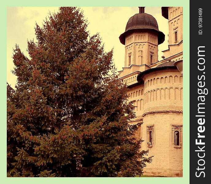 Monastery And A Gorgeous Pine Tree.
