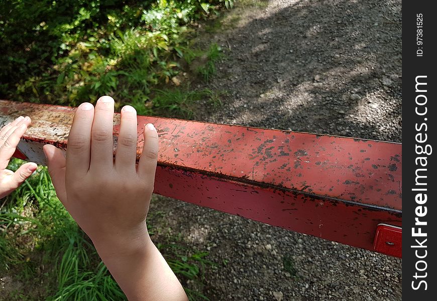 Hand, Plant, People in nature, Wood, Gesture, Finger