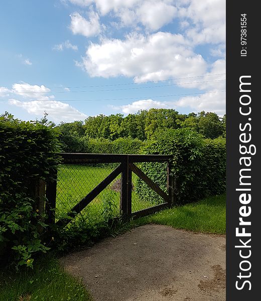 Cloud, Plant, Sky, Natural landscape, Highland, Fence