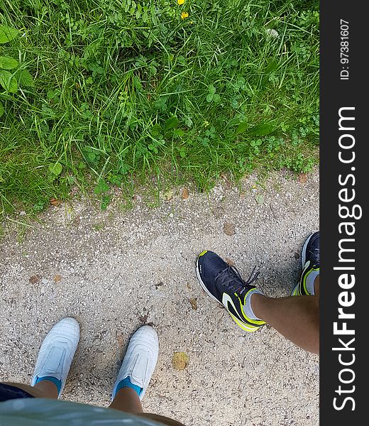 Footwear, Plant, Shoe, Leg, People in nature, Road surface