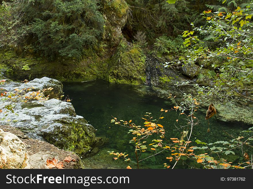 Opal Creek , Oregon