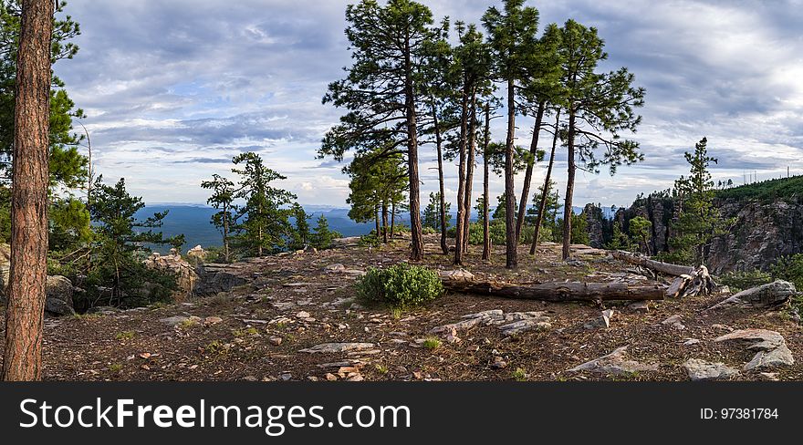 View from the edge of the Mogollon Rim along the Rim Road &#x28;FR 300&#x29;. The Mogollon Rim is one of the most striking geologic features in Arizona. This steep escarpment, measured in thousands of feet and hundreds of miles, begins just across the border in New Mexico and stretches diagonally two thirds of the way across Arizona. It forms the southern edge of the Colorado Plateau, and is one of the most impressive overlooks in the Grand Canyon State. The General Crook Trail/Rim Road Scenic Loop drive is an easy way for the entire family to experience the dramatic scenery of the Mogollon Rim. Photo taken July 20, 2017 by Deborah Lee Soltesz. Source: U.S. Forest Service, Coconino National Forest. Visit Mogollon Rim Ranger District and the Coconino National Forest for more information.