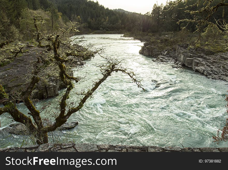 Colliding Rivers, Glide, Oregon