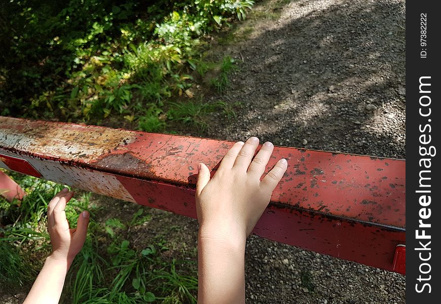 Hand, Plant, Leaf, Wood, Human body, People in nature