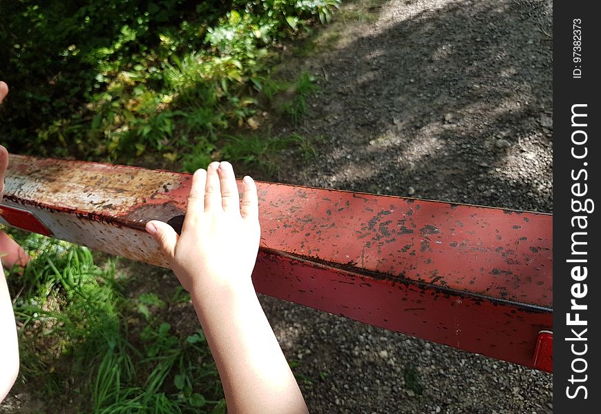 Plant, Wood, Grass, People in nature, Finger, Terrestrial plant