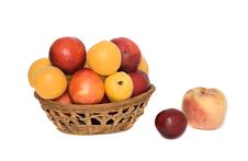 Apricots, Nectarines And Peaches Stock Image Apricots, Nectarines And Peaches Stock Image