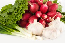 Spring Onions, Garlic, Lettuce And Radish Royalty Free Stock Photos Spring Onions, Garlic, Lettuce And Radish Royalty Free Stock Photos