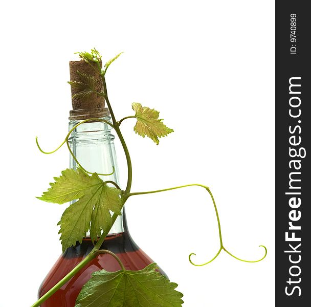 Bottle of red wine with grapevine