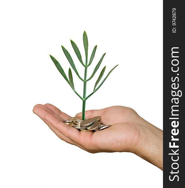 Hand with tree growing from pile of coins