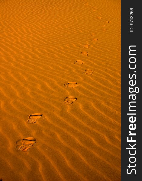 Footsteps going into the distance on wind eroded sand. Footsteps going into the distance on wind eroded sand