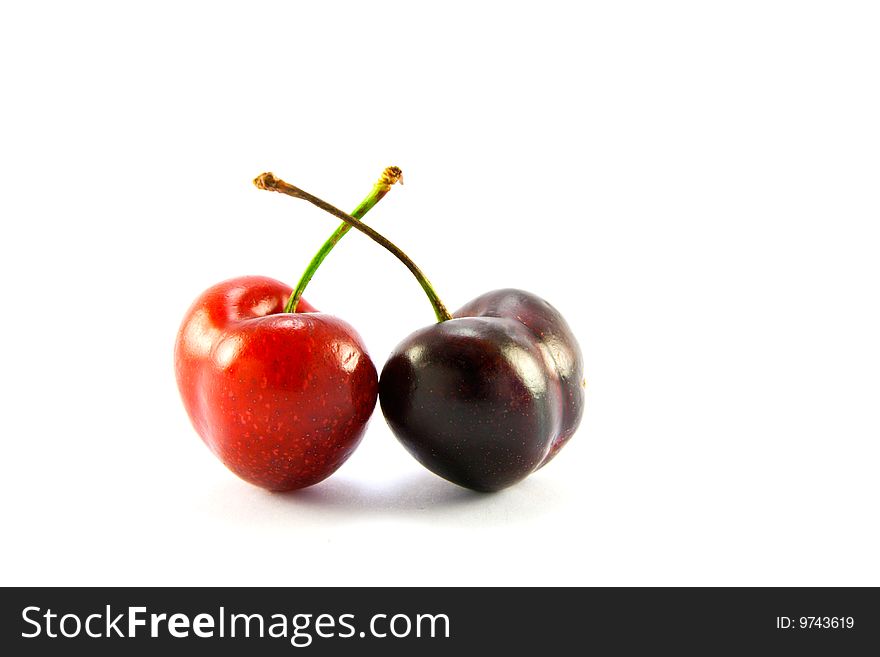 Two cherries one red one black on a white background with clipping path