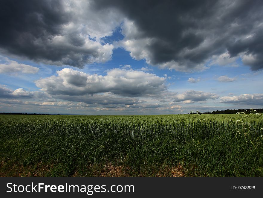 Square along green wheat and blue sky. Square along green wheat and blue sky