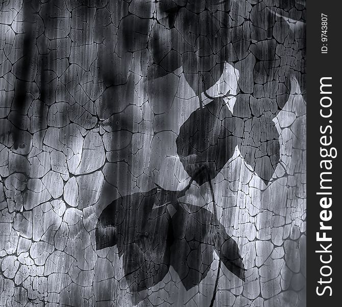 Shade leaf tree under glassware