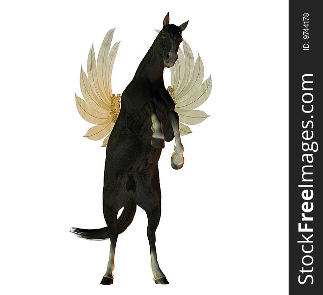 Black stallion with wings