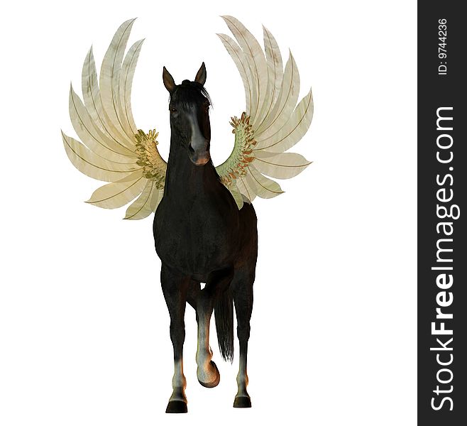 Black Stallion With Wings